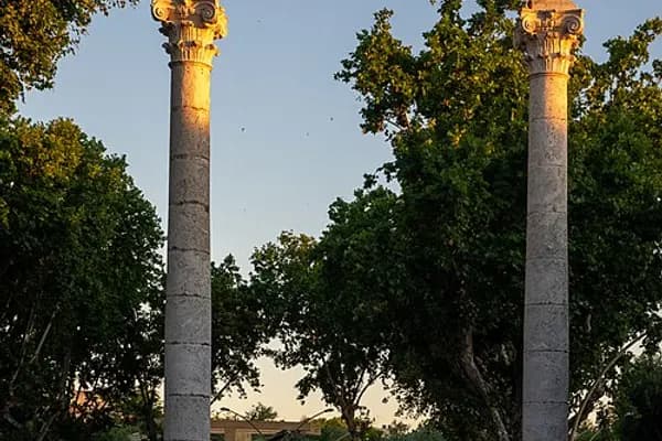 Alameda photo 2