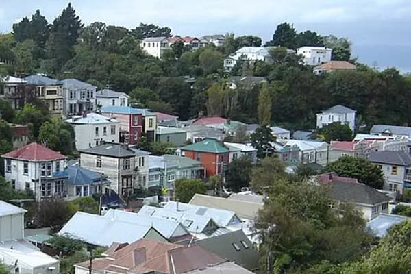 Aro Valley photo 1