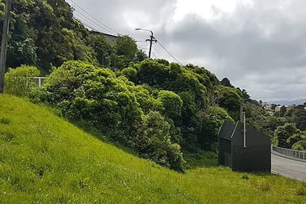 Aro Valley photo 2