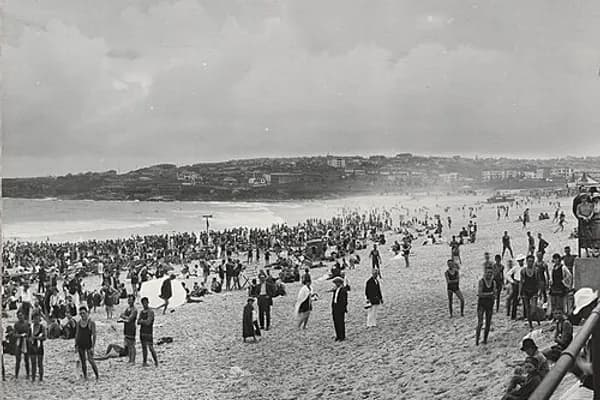 Bondi photo 4