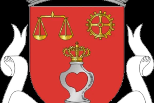 Cedofeita photo 2