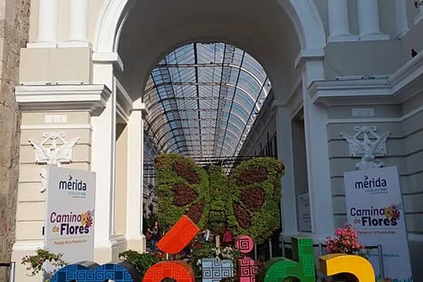 Centro photo 4