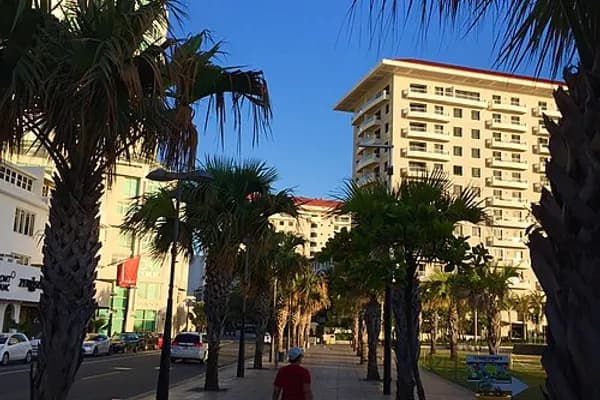 Condado photo 4