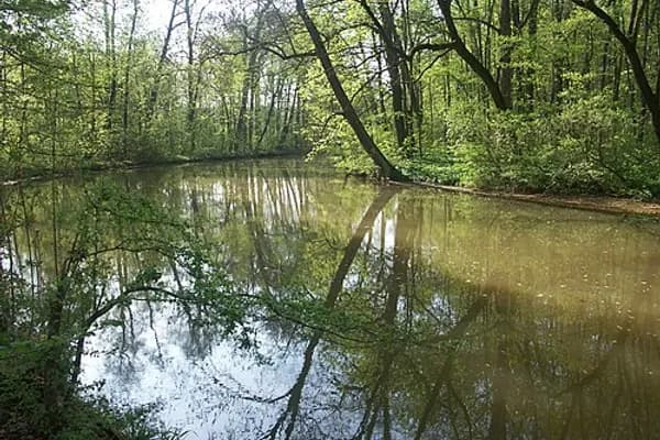 Connewitz photo 4