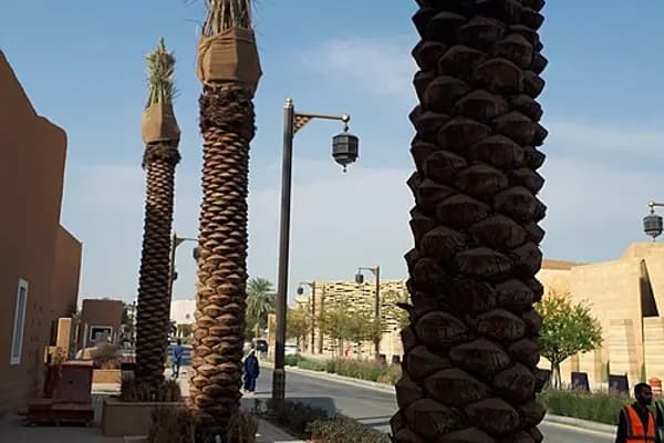 Diriyah photo 4