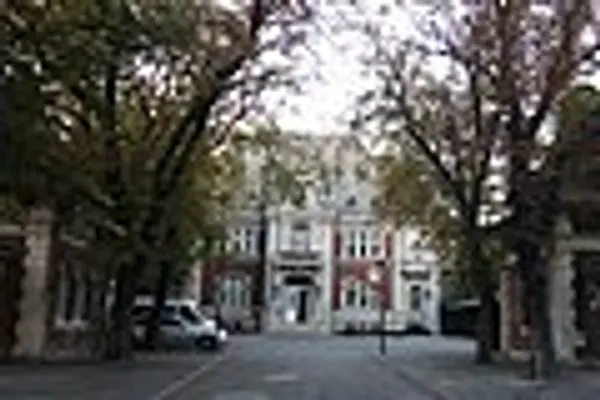 Dorobanți photo 6