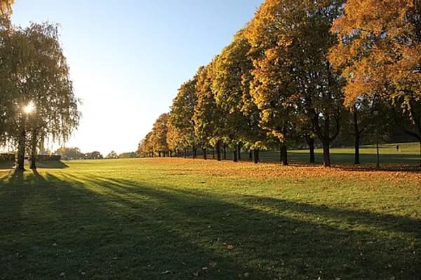 Frogner photo 5