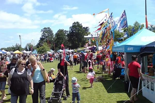 Grey Lynn photo 3