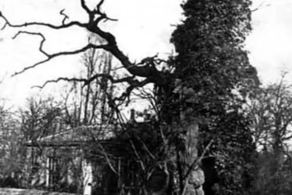 Headingley photo 6