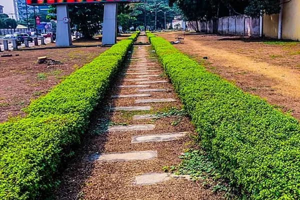 Ikoyi photo 4
