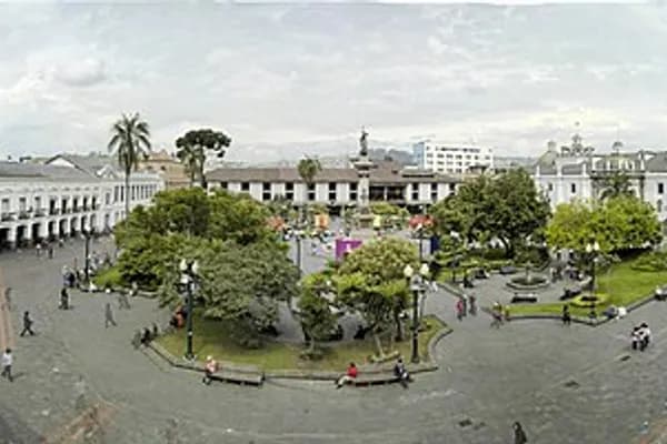 La Mariscal photo 4