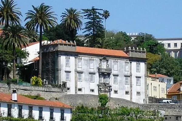 Miragaia photo 3