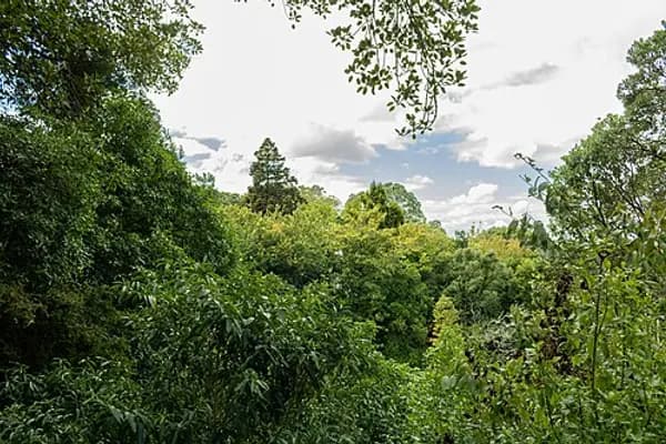Mount Eden photo 6