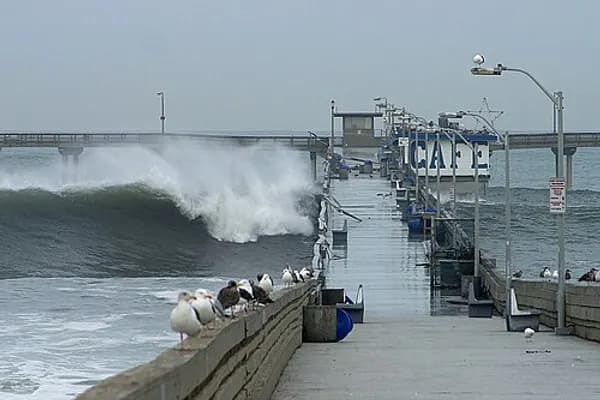 Ocean Beach photo 2