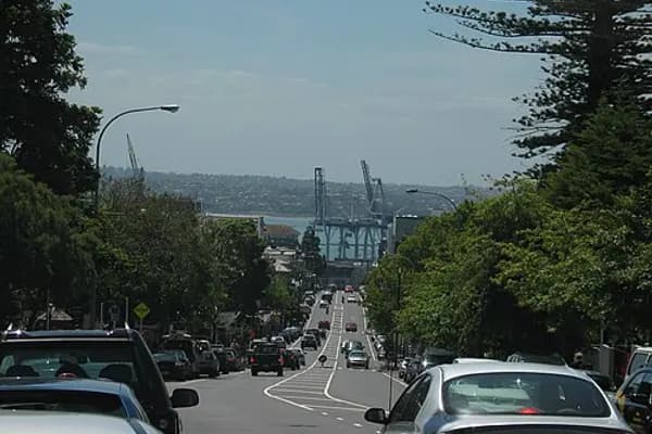 Parnell photo 2
