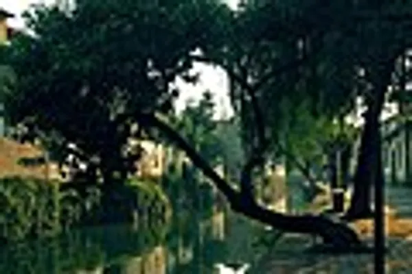 Pingjiang photo 3