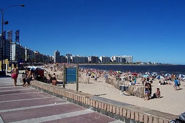 Pocitos photo 1