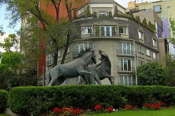 Polanco photo 5