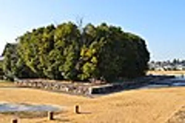 Saijō photo 5