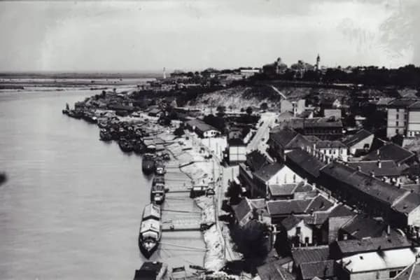 Savamala photo 5
