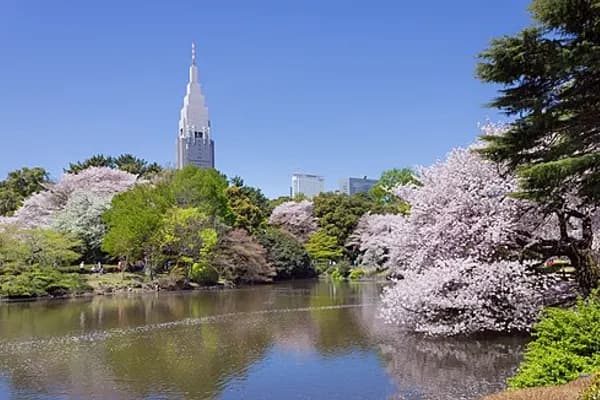 Shinjuku photo 3