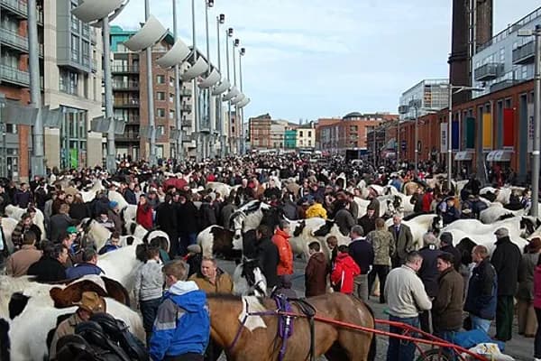Smithfield photo 5