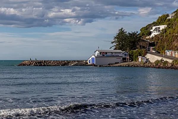 Sumner photo 6