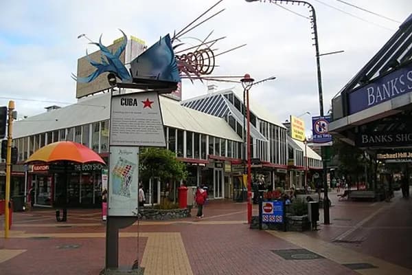 Te Aro photo 4