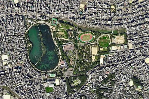 Tenjin photo 4