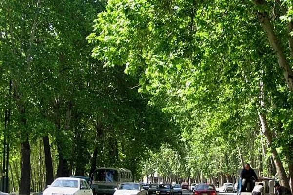 Valiasr photo 1