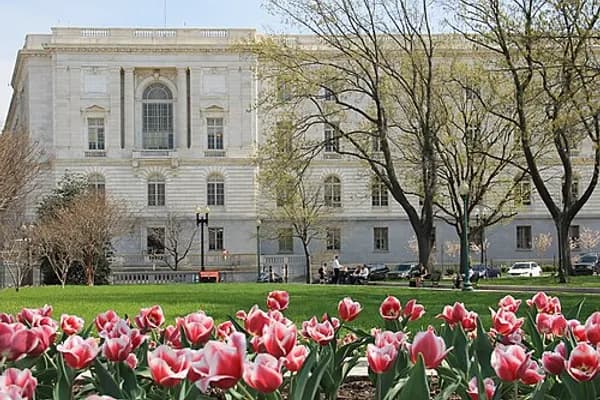 Capitol Hill photo 4