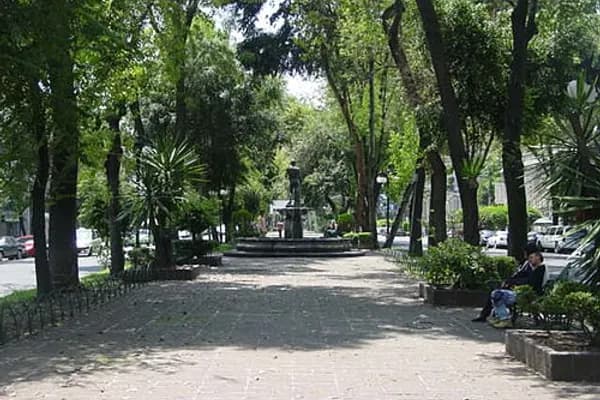 Roma Norte photo 4