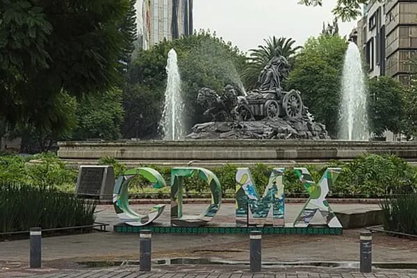 Roma Norte photo 5