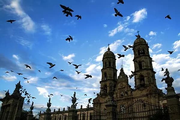Zapopan photo 2