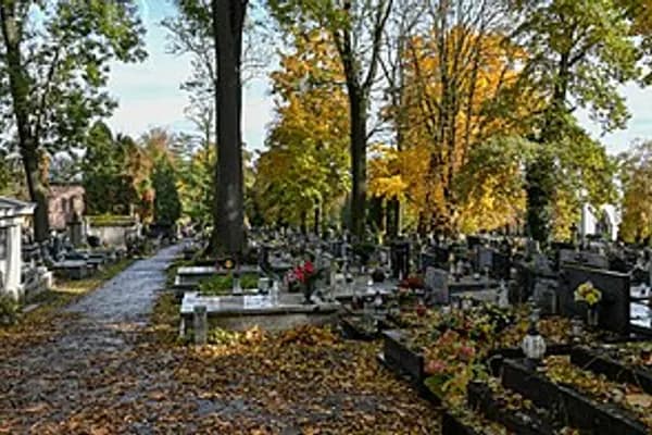 Zwierzyniec photo 6